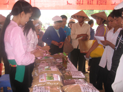 Giống lúa B05 do nhóm nông hộ xã Thanh Hối sản xuất được nhiều nông dân mua để cấy cho vụ mùa 2010