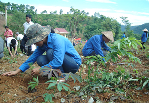 Đoàn thanh niên huyện Cao Phong tham gia trồng cây tại xã Yên Thượng, huyện Cao Phong