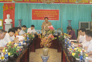 Đồng chí Đinh Duy Sơn, Phó Chủ tịch HĐND tỉnh 
phát biểu kết luận buổi làm việc.
