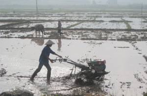 Ngay sau khi thu hoạch vụ chiêm xuân, nhân dân xã Phú Minh nhanh chóng bắt tay vào chuẩn bị  đất gieo cấy vụ mùa, hè- thu.