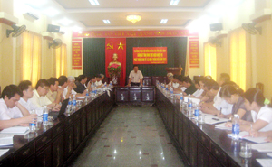 Đồng chí Đinh Duy Sơn, Phó Chủ tịch HDND tỉnh phát biểu kết luận buổi làm việc.