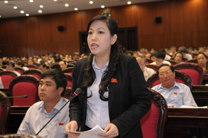 Đại biểu Nguyễn Thanh Hải (Đoàn đại biểu Quốc hội tỉnh Hòa Bình) phát biểu thảo luận tại hội trường về các giải pháp Thuế nhằm tháo gỡ khó khăn cho doanh nghiệp.