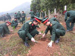 Hưởng ứng phong trào trồng cây, gây rừng, trong 10 năm qua, các cơ quan, đơn vị LLVT các cấp trong tỉnh đã trồng được 22.720 cây xanh các loại.