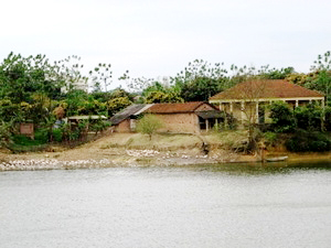 Một khu khu trang trại phường Đồng Tâm, Vĩnh Yên. (Nguồn: báo Tầm Nhìn).