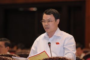 Đồng chí Nguyễn Tiến Sinh, Phó trưởng Đoàn ĐBQH tỉnh phát biểu ý kiến thảo luận tại Hội trường.