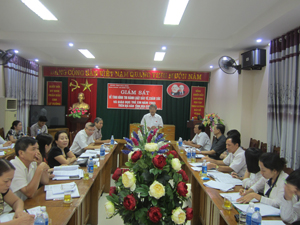 Đồng chí Hoàng Thanh Mịch, Trưởng Ban Tuyên giáo Tỉnh ủy, Trưởng Ban VHXH&DT chủ trì cuộc giám sát.