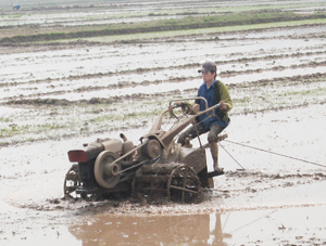 Ngay sau khi kết thúc thu hoạch vụ chiêm xuân, nông dân huyện Lương Sơn khẩn trương làm đất để sẵn sàng gieo cấy vụ mùa. Diện tích đất đã làm đến giữa tháng 6 đạt trên 1.200 ha.