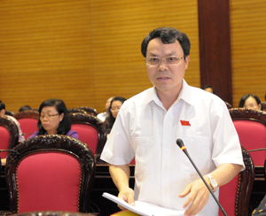 Đại biểu Quốc hội Nguyễn Tiến Sinh phát biểu tại hội trường.