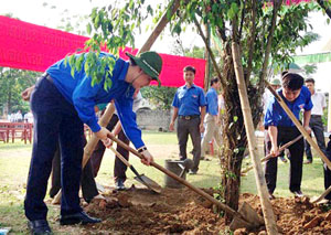 Đại diện lãnh đạo Tỉnh đoàn và ĐVTN trồng cây, hưởng ứng chiến dịch thanh niên tình nguyện hè 2014.