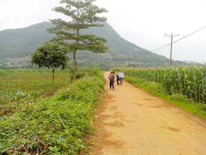 Thâm canh tăng vụ, áp dụng KHKT vẫn hướng đi sản xuất nông nghiệp ở Hào Lý.