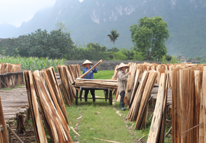 Những năm qua, xã Đồng Tâm đã phát triển được một số cơ sở sản xuất bóc gỗ, góp phần giúp xã đạt tiêu chí về tỷ lệ lao động có việc làm thường xuyên trong XDNTM.