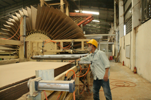 Sản xuất ván ép tại Công ty TNHH MDF Vinafor Tân An.

