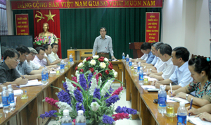 Đồng chí Nguyễn Văn Quang, Chủ tịch UBND tỉnh phát buổi kết luận buổi làm việc.
