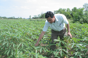 Đồng chí Nguyễn Ngọc Sơn, Phó Chủ tịch UBND xã Ngọc Lương kiểm tra chuyển đổi cơ cấu cây trồng trên địa bàn xã.