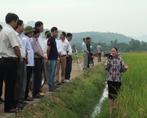 Các đại biểu cùng bà con tham quan mô hình cải tạo đất và thâm canh lúa chất lượng cao tại thôn Tre Thị.