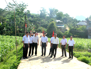 Ngành GT-VT và lãnh đạo huyện Cao Phong kiểm tra, khảo sát tuyến đường liên thôn xóm và nội đồng xã Dũng Phong (Cao Phong).