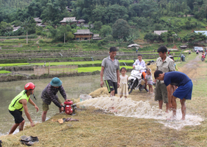 Nông dân xóm Chiềng, xã Lũng Vân (Tân Lạc) bơm nước lảm ải đồng ruộng chuẩn bị sản xuất vụ mùa.