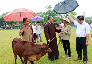 Đại diện Trung ương Hội NTT & TMC, nhà hảo tâm tại Hà Nội trao tặng bò giống cho hộ tàn tật xã Ngọc Lương.