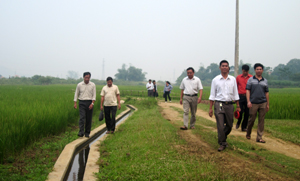 Công trình mương bai do Dự án PSARD hỗ trợ đầu tư tại xã Hợp Thành (Kỳ Sơn) phát huy hiệu quả trong sản xuất nông nghiệp.