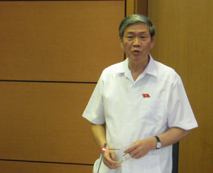 Đại biểu Đinh Thế Huynh, Đoàn đại biểu Quốc hội tỉnh Hòa Bình  phát biểu ý kiến tại phiên thảo luận.