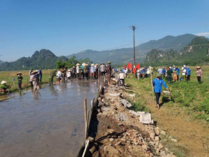 Ngay sau lễ mít tinh, ĐVTN cùng nhân dân xóm Mến Bôi tham gia đổ bê tông đoạn đường giao thông nông thôn.