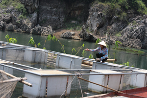 Để đầu tư 2 lồng cá đạt chuẩn theo quy định, gia đình chị Lương Thị Hương, xóm Tháu, xã Thái Thịnh (TP Hòa Bình) phải vay mượn và trả lãi hàng tháng nhưng đến giờ vẫn chưa nhận được tiền hỗ trợ.

