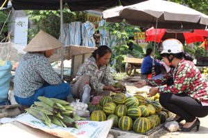 Dưa bở Vĩnh Đồng là sản phẩm nông nghiệp có “thương hiệu” và được nhiều người tiêu dùng lựa chọn.
