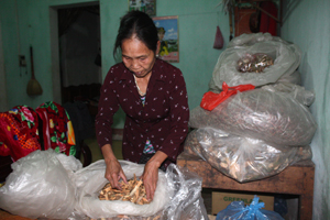 Ngoài bốc thuốc chữa bệnh cho nhiều người, bà Triệu Thị Lan còn thường xuyên giúp đỡ bệnh nhân khó khăn.