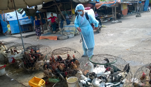 Cán bộ Trạm thú y TP Hòa Bình phun tiêu độc khử trùng tại chợ  Nghĩa Phương.