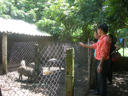 Mô hình nuôi động vật hoang dã của cán bộ, đảng viên xã Bắc Sơn đã và đang được nhân rộng