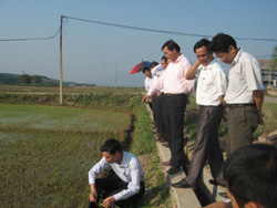 Ngành NN&PTNT kiểm tra tình hình gieo cấy vụ mùa 2010 tại xã Yên Mông (TP Hòa Bình), chỉ đạo địa phương kịp thời chống hạn