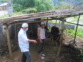 Nhiều gia đình ở xóm Ghên, xã Tiến Sơn vẫn giữ thói quên mất vệ sinh trong công tác chăn nuôi.