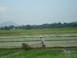 Nông dân huyện Tân Lạc tận dụng mọi nguồn nước đẩy nhanh tiến độ cấy lúa mùa