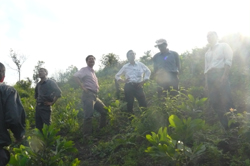 Ông Hứa Đức Nhị, Thứ trưởng Bộ NN&PTNT, Tổng cục trưởng Tổng cục Lâm nghiệp (người đội mũ) kiểm tra tiến độ trồng rừng phòng hộ tại xóm Mừng xã Xuân Phong (Cao Phong)