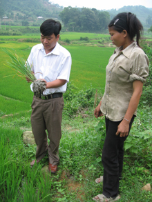 Cán bộ Chi cục BVTV hướng dẫn nông dân xã Tân Vinh (Lương Sơn) cách ngăn ngừa, phát hiện và xử lý kịp thời hiện tượng vàng lá trên diện tích lúa hè thu cấy sớm.