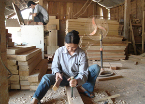 Nguồn vốn vay giải quyết việc làm đã tạo việc làm và thu nhập ổn định cho nhiều lao động nghèo ở xã Tu Lý huyện Đà Bắc.