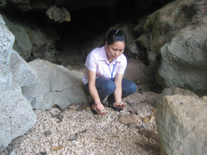 Di tích Mái đá làng Vành nổi tiếng với tầng văn hoá được cấu tạo bằng vỏ ốc suối dày 3,7 m.