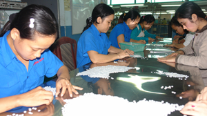 Theo ông Tôn Thạnh Nghĩa - tổng giám đốc Công ty sản xuất nút áo Tôn Văn (Bình Dương), từ đầu năm đến nay xuất khẩu nút áo làm bằng vỏ ốc, vỏ sò sang Nhật tăng mạnh. Trong ảnh: sản xuất nút áo tại nhà máy của Công ty Tôn Văn.