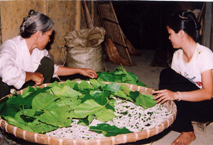 Hiện nay, nhiều vùng Mường ở Hòa Bình vẫn còn duy trì nghề nuôi tằm, dệt vải.