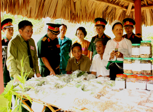 Đồng chí Hoàng Việt Cường, Bí thư Tỉnh ủy cùng các đồng chí lãnh đạo Bộ CHQS tỉnh, huyện Kỳ Sơn thăm quan khu trưng bày sản phẩm thuốc của các đơn vị tham dự hội thi.
