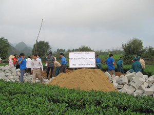 ĐV-TN huyện Lạc Thủy tham gia xây dựng  nhà đại đoàn kết tại xã Phú Thành.