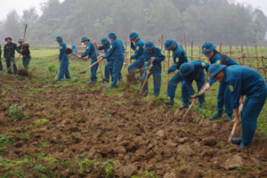 Lực lượng vũ trang huyện Tân Lạc giúp đỡ nhân dân xóm Cò, xã Tuân Lộ làm đường giao thông nông thôn.