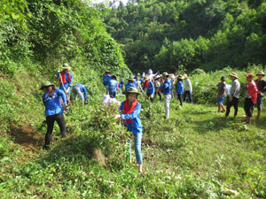 Sinh viên tình nguyện tham gia phát quang bụi rậm tại xóm Ngái, xã Yên Lập (Cao Phong).