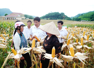 Đồng chí Xa Đức Hiền, Phó Chủ tịch UBND huyện Đà Bắc trao đổi với người dân xóm Chúc Sơn, xã Toàn Sơn về hiệu quả việc chuyển đổi cơ cấu cây trồng, ứng dụng KH-CN trong sản xuất nông nghiệp ở địa phương.
