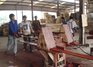 Lao động nông thôn làm việc tại Công ty TNHH sản xuất ván sàn xuất khẩu Sơn Thủy.