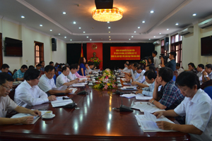 Bộ trưởng Bộ Y tế Nguyễn Thị Kim Tiến phát biểu tại buổi làm việc với lãnh đạo tỉnh.
