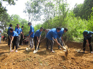 ĐV-TN huyện Lương Sơn hưởng ứng chiến dịch tình nguyện hè năm 2013 tại xã Tân Thành.