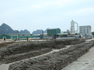 Đầu năm 2013, Công ty Vinafor Tân An đã chính thức đi vào sản xuất, đến nay đã sản xuất được gần 7.000 m3 gỗ ván ép thúc đẩy giá trị SXCN khu vực kinh tế ngoài quốc doanh toàn huyện Yên Thủy tăng 49,5% so với cùng kỳ.

