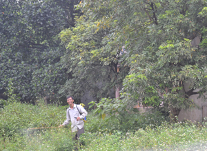 Người dân phun thuốc diệt cỏ ngay phía sau nhà và không trang bị bất cứ bảo hộ lao động nào. Ảnh chụp tại xã Thanh Nông (Lạc Thủy) tháng 6/2013.

 


