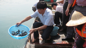 Lãnh đạo Sở NN &PTNT tham gia thả cá giống nhằm tái tạo và phát triển nguồn lợi thủy sản trên hồ Hòa Bình.

